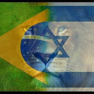 aliança Brasil E Israel🇧🇷🇮🇱