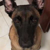 小小童心 (@xiaofeng66999) 's Twitter Profile