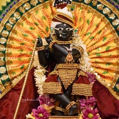 श्री कृष्ण गोविंद हरे मुरारी हे नाथ नारायण वासुदेवा 🙏🏽☀️