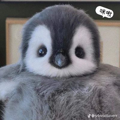 King1048373259's profile picture. 