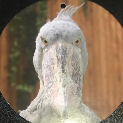 abmk530929's profile picture. 