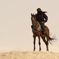 ابو ليث العوذلي (@adeeb_alothali) 's Twitter Profile