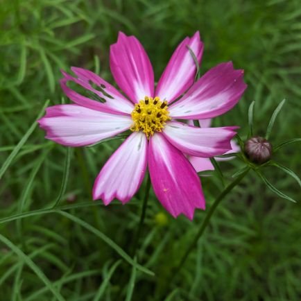 JGMtM0Ow1U96981's profile picture. 阪神ファン６５年！一家皆阪神ファン！