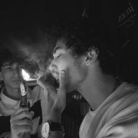 flemini (@flemlnl) 's Twitter Profile