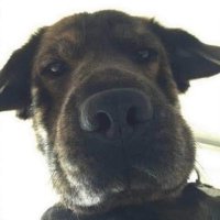 . (@attempt_man) 's Twitter Profile