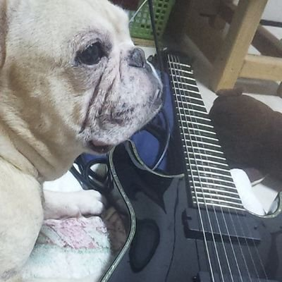 7弦ギター弾き DTMer アイドル アニメ アニソン ボカロ HR プログレ 好き❤️ 推しはゆずポン🍊 ねもっちゃん☕️💫なっちゅん🐕🐈おとちゃん🥕ゆいちゃん🧸🤍嫁はレム💒