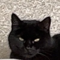 Logge🔺 (@logge_eth) 's Twitter Profile Photo Logge🔺 (@logge_eth) 's Twitter Profile Photo