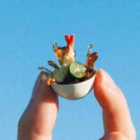 TEMPLIME (@templime) 's Twitter Profile Photo TEMPLIME (@templime) 's Twitter Profile Photo