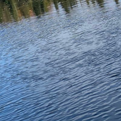 Chebastyen's profile picture. 