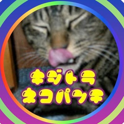 kizitoranekopan's profile picture. 🟠キジトラネコパンチです🍊🐈‍⬛🐈️💕
YouTubeに誰も見ないようなヤバーい動画あげてます😗💓
幸運のナンバー1.3.6.7.9.11🐮🧀❤️
負のオーラから解放✨こ…せ…༼ꉺ✺ꉺ༽