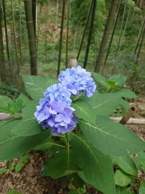障害児の父親で、障害福祉サービスの相談員です。
自然を愛し、妻を愛し、息子を愛しているただの
おっさんです。様々な経験から「愛」を伝えていけたらいいな。
とぅらんちゅ、GreenWorldファン、三木道三ファン、にわかですが、よろしくお願いします❗️(いつもは、「ろくべ」でいろんなところにいます)