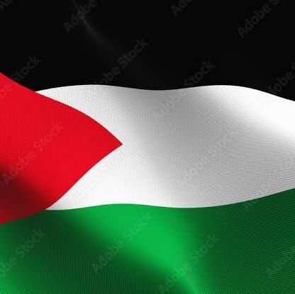 Palestine supporter.
#Gazaunderattack