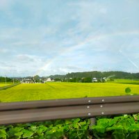 ちょんさん (@chiechon0507) 's Twitter Profile