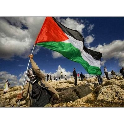The earth cannot accommodate two identities,either Palestine or Palestine🇵🇸✌️

 𝓐𝓗𝓛𝓐𝓦𝓨 7️⃣4️⃣ ❤️ 🦅🔴 𝓖𝓮𝓶𝓲𝓷𝓲 ♊️