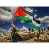 _A7md_74_'s profile picture. The earth cannot accommodate two identities,either Palestine or Palestine🇵🇸✌️  𝓖𝓮𝓶𝓲𝓷𝓲 ♊️