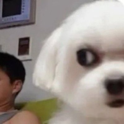 watermelon90901's profile picture. 이따위로 할거면 물러가라