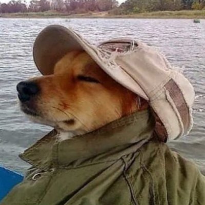 guilhermeboecha's profile picture. 21
rj