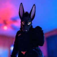 Alex (@knotty_jackal) 's Twitter Profile Photo Alex (@knotty_jackal) 's Twitter Profile Photo