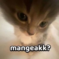 d4unkelor (@d4unkelor) 's Twitter Profile