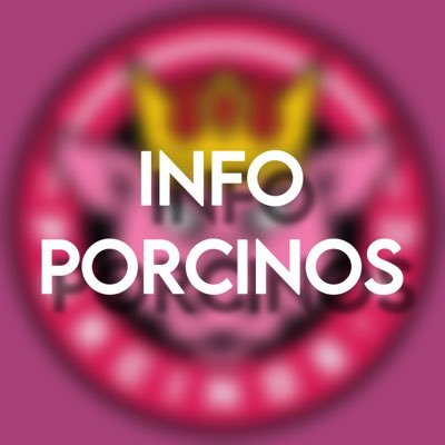 — Toda la información que necesitas saber sobre Porcinos FC, equipo de @ibaillanos y @gema327.  Activa las notificaciones para no perderte nada!🐷