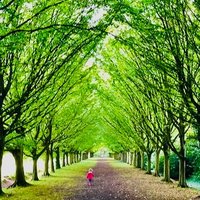 NorthwoodFrog (@willesdenfrog) 's Twitter Profile