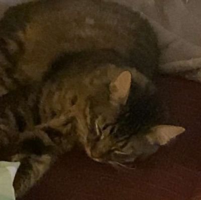 lxxds3y's profile picture. she/her