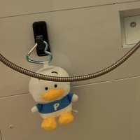 そるこ (@soruko_0323) 's Twitter Profile