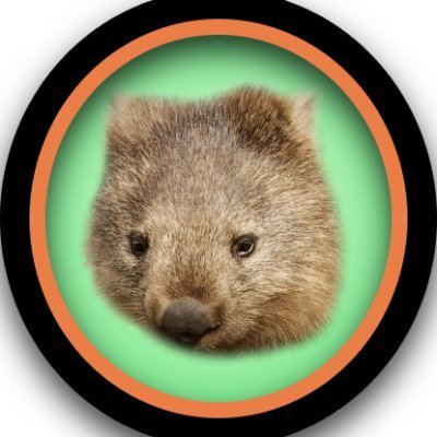 Wombat_classiic's profile picture. 
