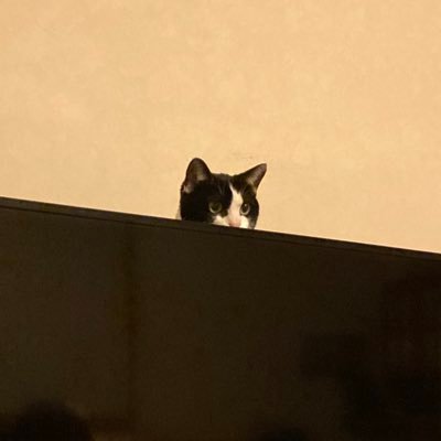 ぽっさんのプロフィール画像