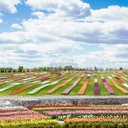 John Atcheson - @JohnAtches10409 - Twitter