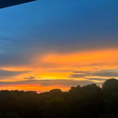 JjddBs's profile picture. 🌌 lost star