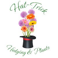 Hat Trick Hedging & PLants (@hattrickplants) 's Twitter Profile Photo