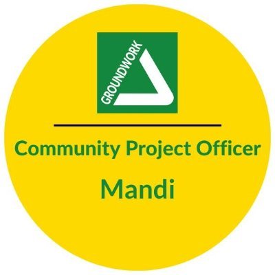 Mandi Reeve π Profile