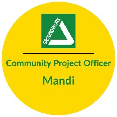 MandiGroundwork Profile Picture