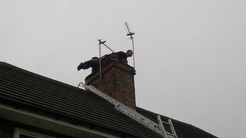 BigGav1000's profile picture. 