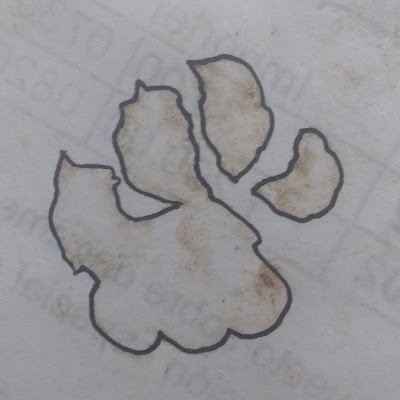 paticadetigre's profile picture. 
