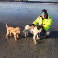 lee james (@leejamsie) Twitter profile photo