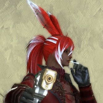Not allowed for under 18s
Animal sentimental
BR FFXIV Player
Gposer