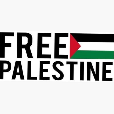 LFlaek's profile picture. 🇵🇸🇵🇸