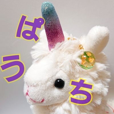 ぱうちさんのプロフィール画像