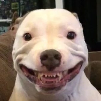 SinsSheets's profile picture. 