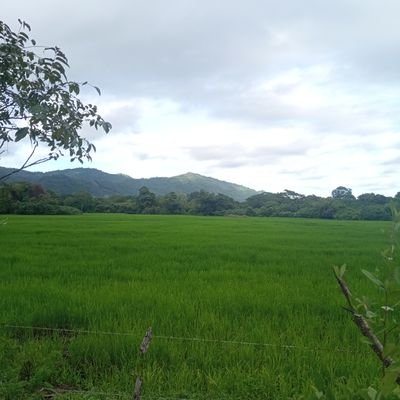 Los Santos, las tablas para el mundo 💯🇵🇦