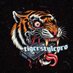 tigerstylepro 📼 (@tigerstyIepro) Twitter profile photo