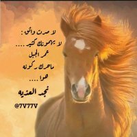 نجد العذيه (@7v77v) 's Twitter Profile