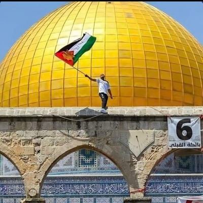 Uu4JgcLe6UU1e5z's profile picture. انا من أنا فى العالمين ...انا من ربا البلد الأمين 
أنا من فلسطين الطعين ... أنا من فلول اللاجئين.  / أعمل فى وزارة الصحة الفلسطينية /طب مخبرى