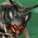 Aaron Benfield - @AaronBenfield - Twitter