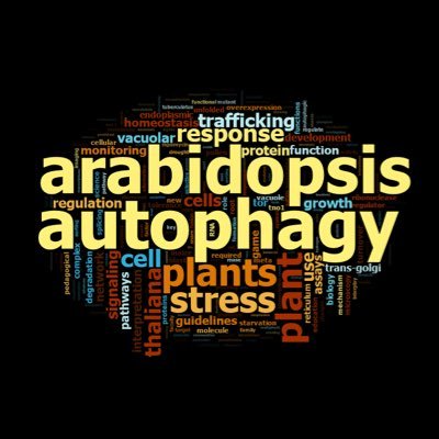 Plant cell biology lab studying autophagy and vesicle trafficking in response to environmental cues.