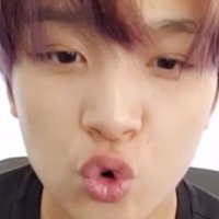 fall for haechan (@l4lovehaechan) Twitter profile photo