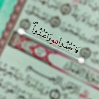 مكتب خدمات اكترونية (@hmwd245) 's Twitter Profile