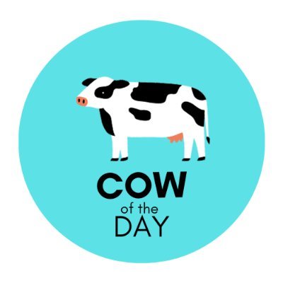 @cowoftheday1